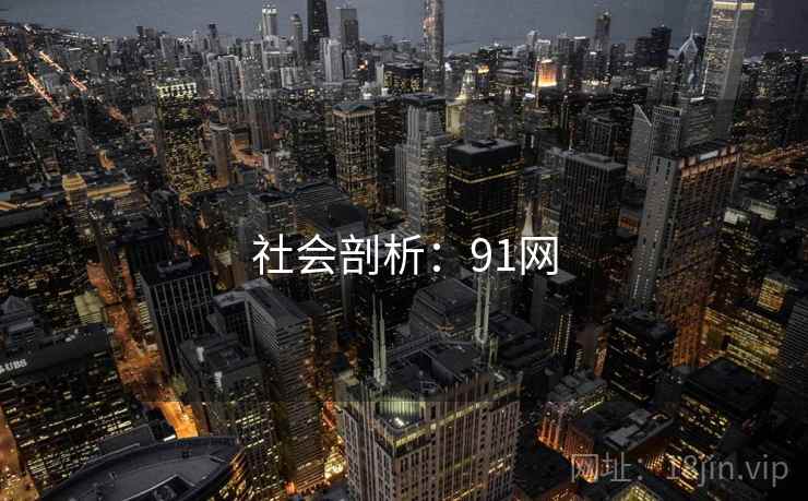 社会剖析：91网