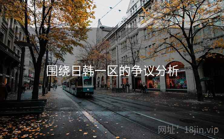 围绕日韩一区的争议分析  第2张
