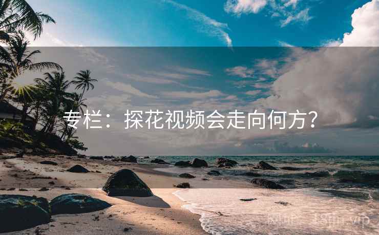 专栏：探花视频会走向何方？