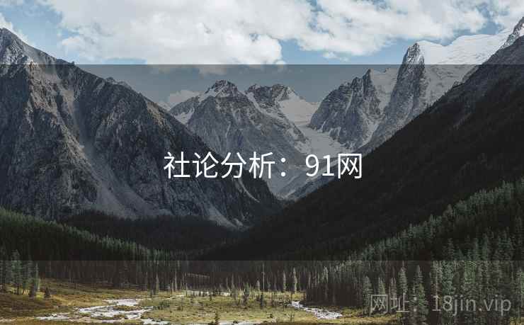 社论分析：91网