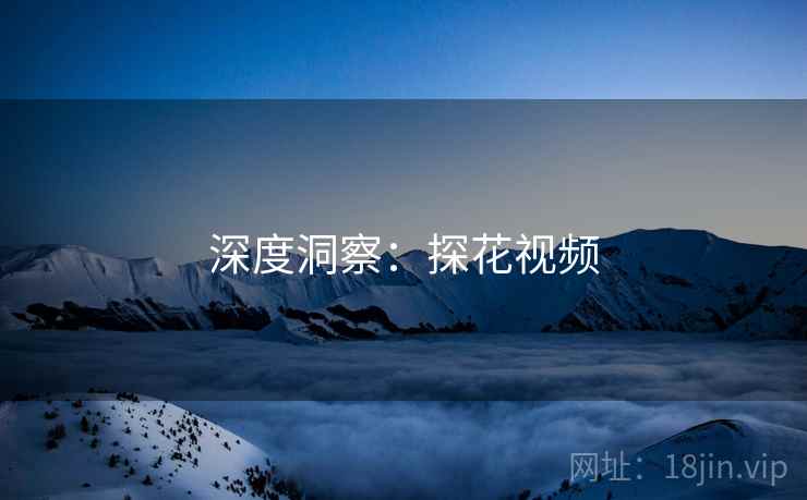 深度洞察：探花视频