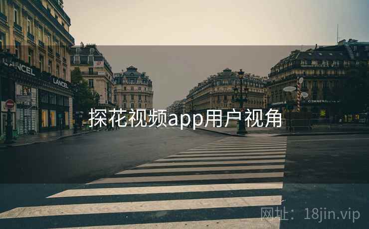探花视频app用户视角