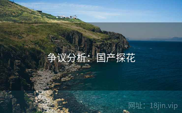 争议分析：国产探花