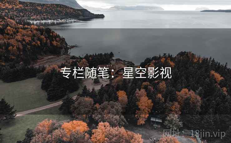 专栏随笔：星空影视
