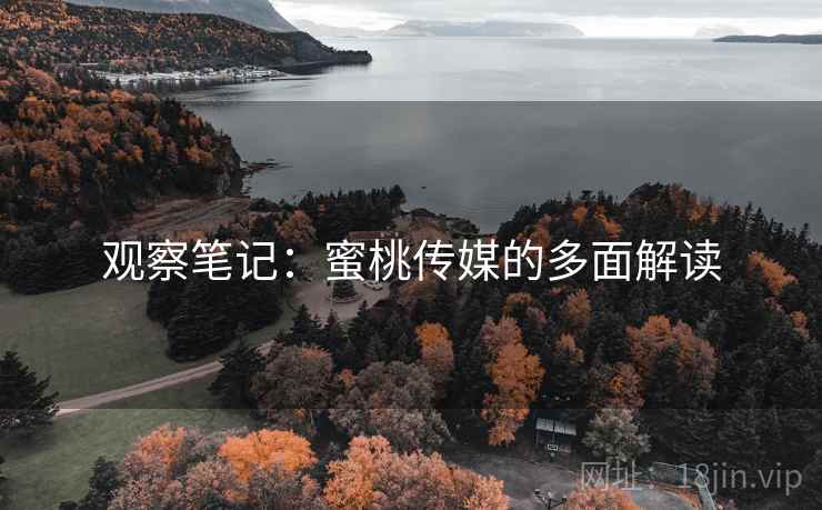 观察笔记：蜜桃传媒的多面解读