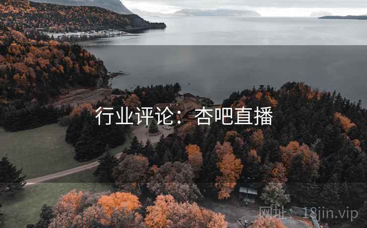 行业评论：杏吧直播