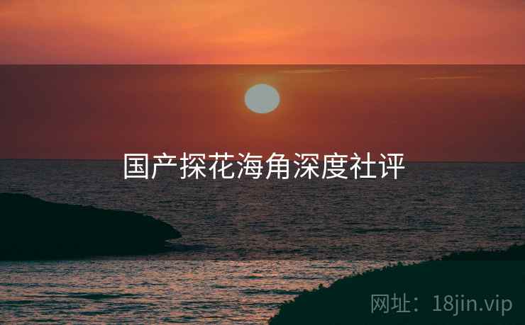 国产探花海角深度社评