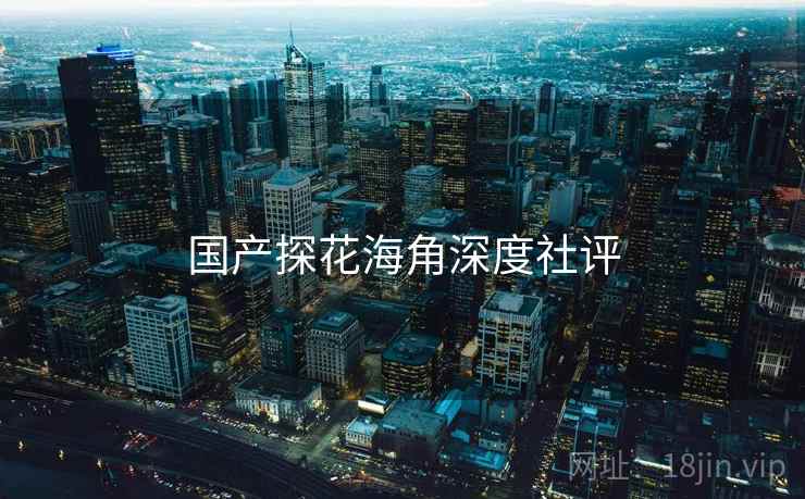 国产探花海角深度社评