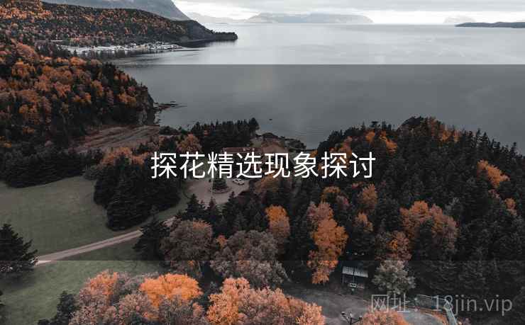 探花精选现象探讨