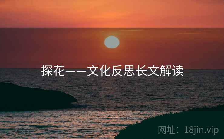 探花——文化反思长文解读
