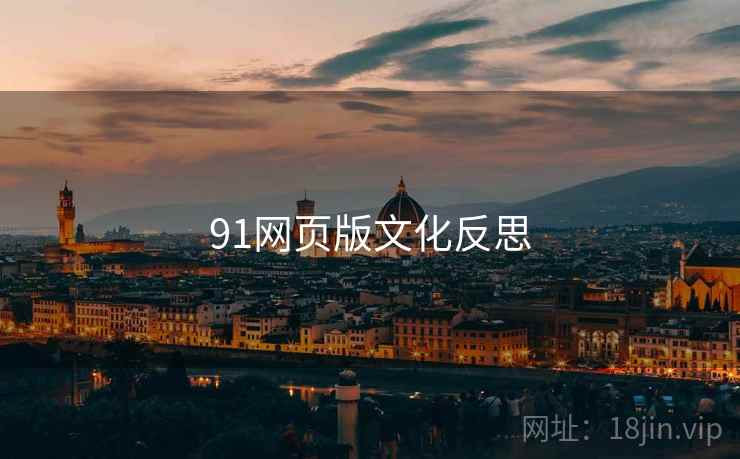 91网页版文化反思