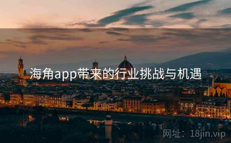 海角app带来的行业挑战与机遇