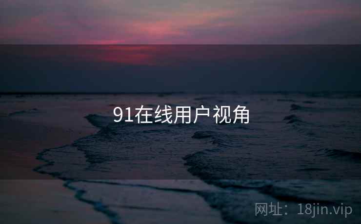 91在线用户视角
