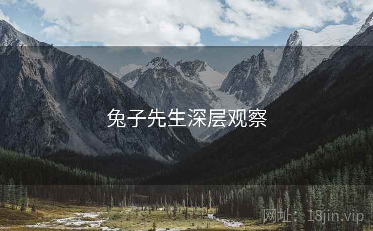 兔子先生深层观察