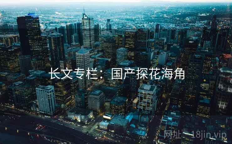 长文专栏:国产探花海角