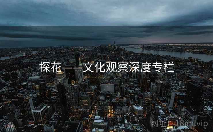 探花——文化观察深度专栏