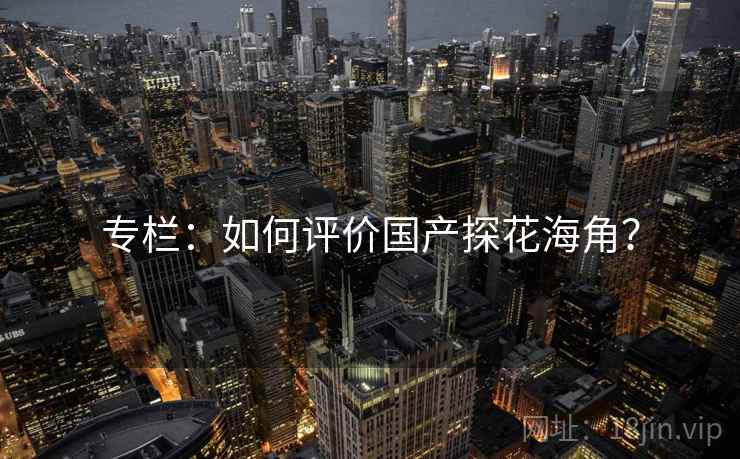 专栏:如何评价国产探花海角?