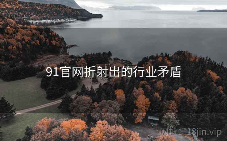 91官网折射出的行业矛盾