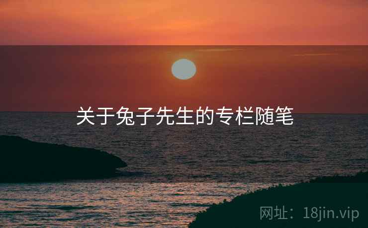 关于兔子先生的专栏随笔