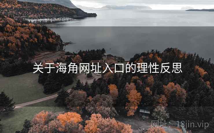 关于海角网址入口的理性反思