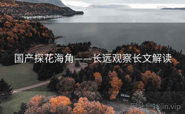 国产探花海角——长远观察长文解读