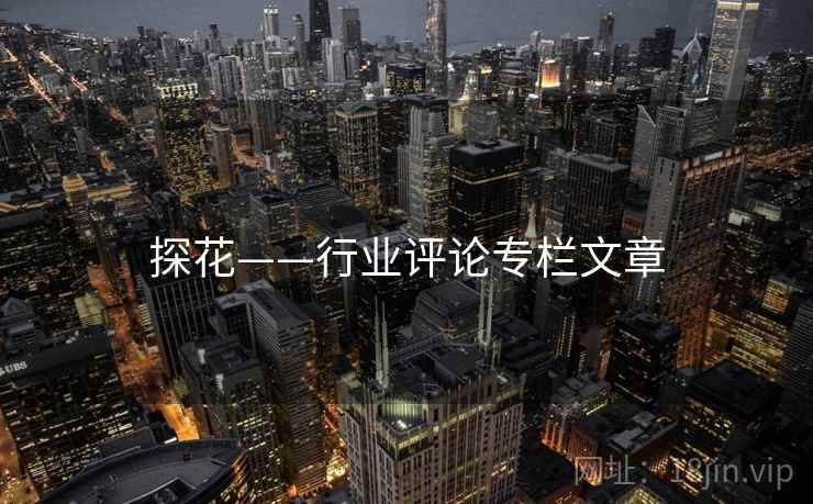 探花——行业评论专栏文章