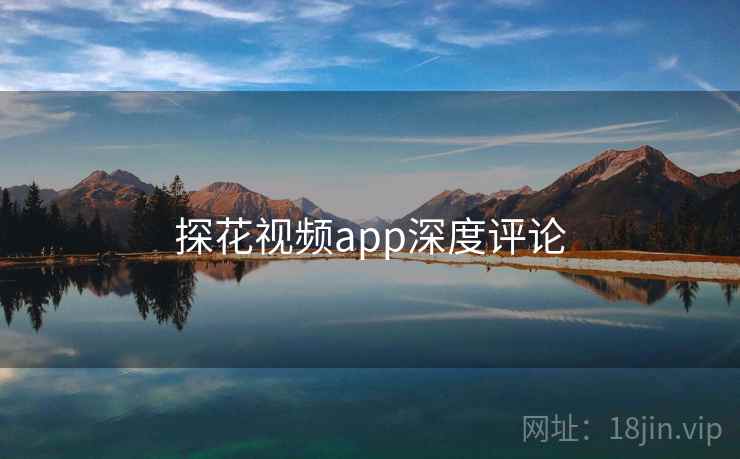 探花视频app深度评论