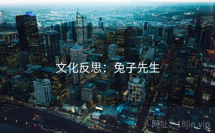 文化反思:兔子先生