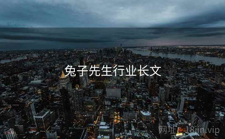 兔子先生行业长文
