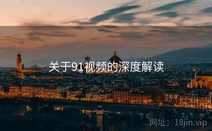关于91视频的深度解读